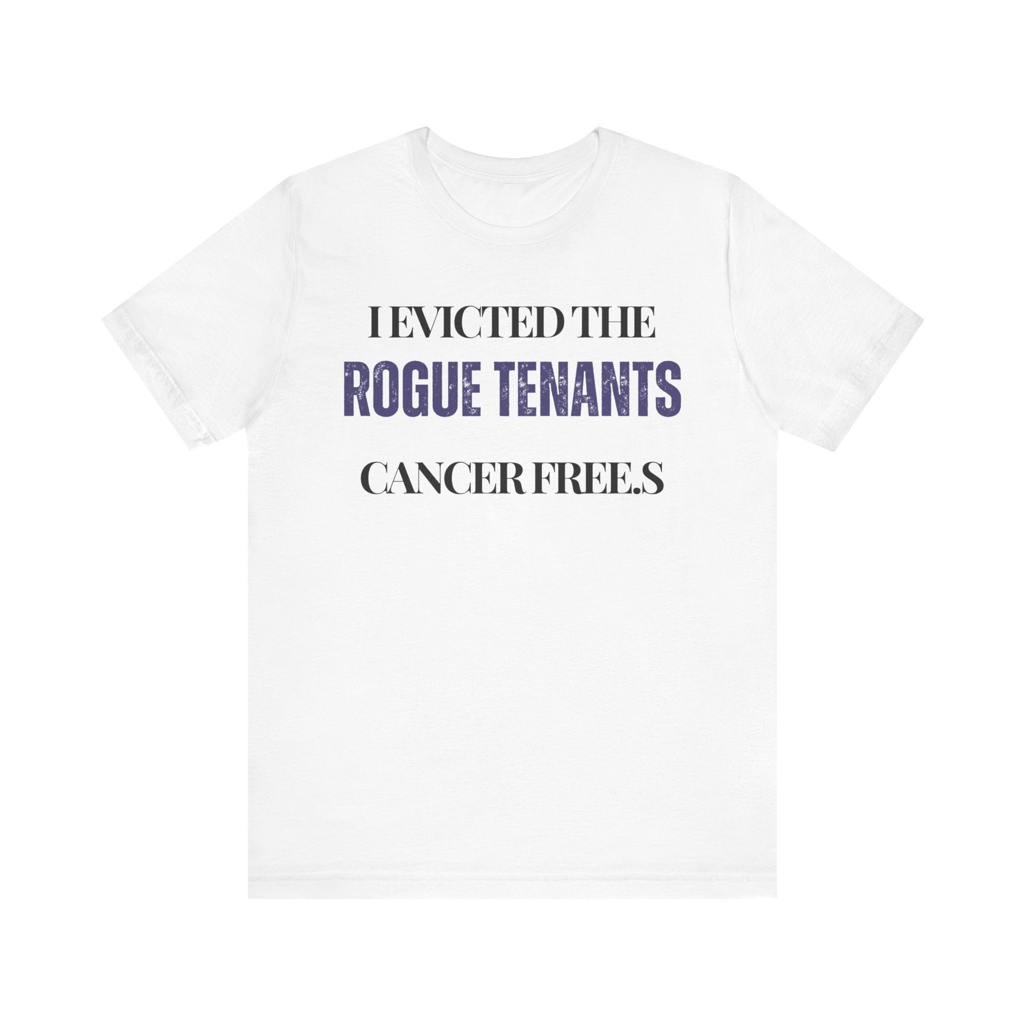 I evicted the rogue tenants Inspirational Tee, Unisex Jersey Shirt, Motivational Gift, Spiritual Apparel, Perfect for Everyday Wear